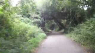 Chichester to Midhurst Disused Railway Line [upl. by Leahci]