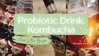 Traditional Fermented Probiotic Drink KOMBUCHA RECIPE [upl. by Aihsele]