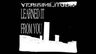 VERISIMILITUDE  learned it from you noise [upl. by Bobker]