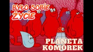 BYŁO SOBIE ŻYCIE  1 PLANETA KOMÓREK [upl. by Adiana]