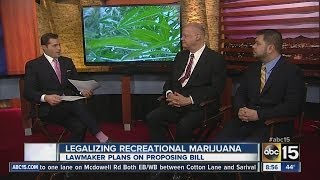 Debate over legalizing recreational marijuana [upl. by Clyte]