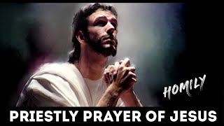 Homily for 7th Sunday of Easter  Ascension of Lord Year B  May 12 2024  Priestly Prayer of Jesus [upl. by Notnilc]