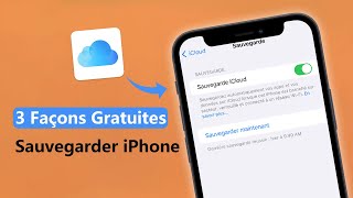 3 Minutes Sauvegarder son iPhone Guide complet [upl. by Aitan]