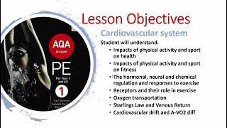 Cardiovascular System Lesson A Level PE  Part 2 [upl. by Jerrold]