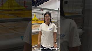 Special Designed Automatic Harvesting Broiler Cage for Philippines [upl. by Eserahs]