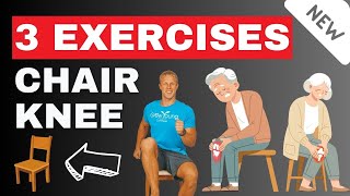 3 Seated Knee Exercises For Seniors  Strengthen Your Knee and Increase Your Mobility [upl. by Kamilah]