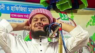 2024 হাফেজ হযরত মাওঃ মোঃ Bangla Waz bangla PAGLA Tv [upl. by Akoyin]