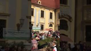 Durnstein Harvest Festival [upl. by Ailesor]