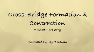 Crossbridge Formation Animation  Muscle Contraction Explained [upl. by Nireil]