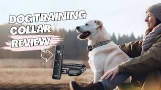 Delupet Dog Training Collar Ultimate Guide for Dog Owners  Review [upl. by Assetal]