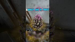 Guess the Egg🥚 What Dino Lays These Eggs🪺 ark ARKshorts arksurvivalascended [upl. by Sprage]