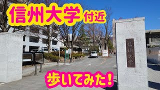 【信州大学】2024327撮影 信大付近お散歩動画です。 [upl. by Gillead]