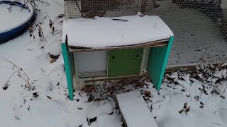 After 2 Years Review of Omlet Automatic Chicken Coop Door Opener RealWorld Long Term Winter [upl. by Uriia]