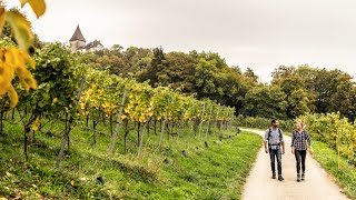 Weinweg Weinfelden [upl. by Niarb]