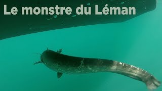 Le monstre du Léman [upl. by Lilac]