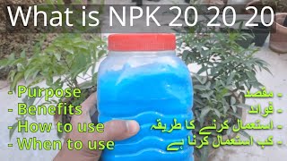 What Is NPK 20 20 20  NPK Fertilizer How To Use  NPK Fertilizer How To Use In UrduHindi [upl. by Naeroled]