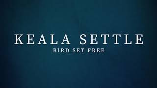 Keala Settle  Bird Set Free Sia Cover [upl. by Yntirb222]