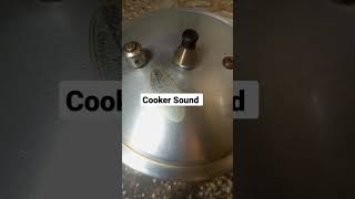 Cooker Whistle sound youtubeshorts shortviral [upl. by Samau698]