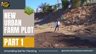 Amending Soil  How to Amend amp Care for Neglected Soil [upl. by Waldman22]