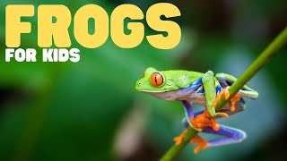 Frogs for Kids  Learn all about these slimy amphibians [upl. by Tiernan]