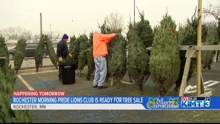 Rochester Christmas tree sale begins tomorrow [upl. by Ennaihs]