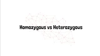 Homozygous vs Heterozygous [upl. by Nnaed958]