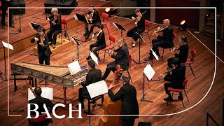 Bach  Cantata Ach Herr mich armen Sünder BWV 135  Sato  Netherlands Bach Society [upl. by Bensen545]