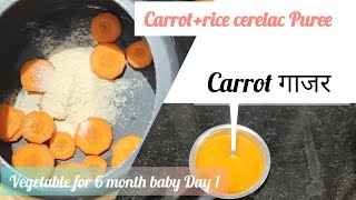 Vegetable Puree for baby  69 month baby food  Homemade baby food  carrot Puree for baby food [upl. by Paulina]