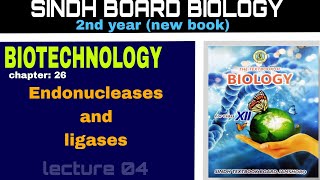 Role of restriction endonucleases and ligases in gene cloning  class 12th Sindh board sindhboard [upl. by Eeresed799]