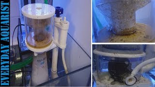 What Is a Protein Skimmer How Do They Work Do You Need One Saltwater Marine Aquarium [upl. by Anerat9]