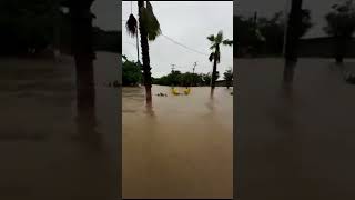 🚨 Flooding in Acapulco Mexico  September 30 2024 🌊 [upl. by Preiser]