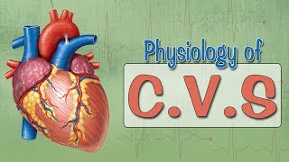 Easy Physiology  CVS  ECG 1Introduction amp ECG Leads [upl. by Wettam808]