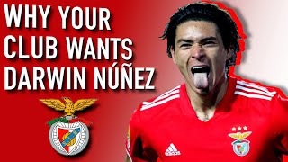 Why Darwin Núñez is Wanted by Europes Elite Clubs  His Best Attributes amp Amazing Story [upl. by Olegnaed]