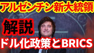 【アルゼンチン】ミレイ新大統領の経済政策！規制改革、ドル化でアルゼンチンはどう変わるのか！ [upl. by Michele]