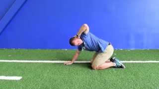 Quadruped Thoracic Spine Rotation [upl. by Alimat]