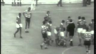 Benfica  3 x Sporting  1 de 19691970 Final da Taça de Portugal [upl. by Novaat190]