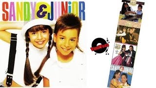 DISCOGRAFIA SANDY E JUNIOR OS LPS DA DUPLA [upl. by Ellimak]