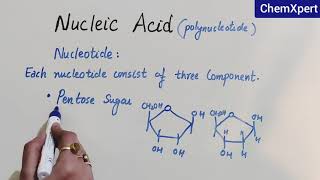 Nucleic Acid  Biomolecules Class 12 Chapter 14 [upl. by Igig]