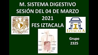 M Sistema Digestivo Sesión del Jueves 04 de Marzo del 2021 [upl. by Eisler870]