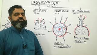 Types of Pseudopodia English medium profmasoodfuzail Pseudopodia  Anatomy of Pseudopodia [upl. by Caffrey]