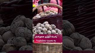 راستە گوێزی هەورامان بە دەست دەشکێت؟ [upl. by Wivestad646]