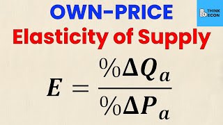 HOW TO Calculate the Price Elasticity of Supply  Economic Homework  Think Econ [upl. by Mortie]