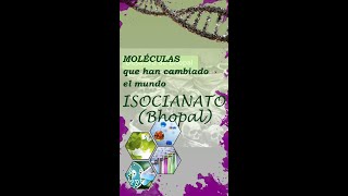 Moléculas que han cambiado el mundo El isocianato de metilo y el desastre de Bhopal [upl. by Osborn]