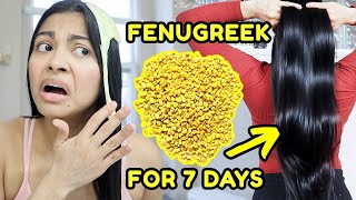 FENUGREEK for 7 days Grow the thickest hair ever before amp after results [upl. by Drolet]