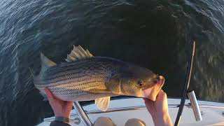 Winter Stripe Fishing on Smith Lake AL 2018 [upl. by Schwejda257]