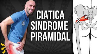 9 EJERCICIOS para la CIATICA POR SINDROME DEL PIRAMIDAL [upl. by Eiuqcaj649]