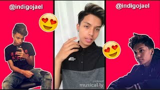 The Best Musical ly Compilation l Indigojael [upl. by Ddet33]