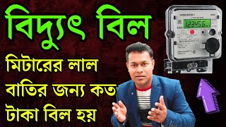 বিদ্যুৎ মিটারের লাল বাতির জন্য কত টাকা বিল আসে  Electric meter red light  electricbill [upl. by Khan433]