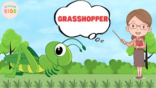 Grasshopper Facts For Kids 😊 Learn All About Grasshoppers  MON Kids [upl. by Nylessoj753]