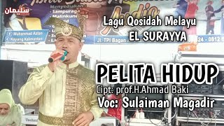 PELITA HIDUP  ELSURAYYA AHMAD BAKI  SULAIMAN MAGADIR COVER [upl. by Catherin]